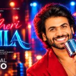 Meri Laila Lyrics – Singer Diamond | Hindi Song Lyrics — Lyrixwala.com