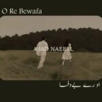 O Re Bewafa Lyrics – ASAD NAEEM | Hindi Song Lyrics — Lyrixwala.com