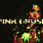 PINK KUSH Lyrics – Jass Goraya | The Takeover | Cheetah Lyrics — Lyrixwala.com