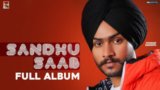Ghar Da Brand Lyrics Himmat Sandhu | Sandhu Saab | Punjabi Song