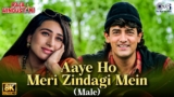 Aaye Ho Meri Zindagi Mein (Male) Lyrics – Udit Narayan