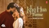 Ishq Hua Tumse Lyrics – Mohd Danish | Hindi Song