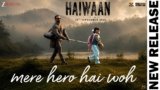 Mere Hero Hai Woh Lyrics – Shaan | Haiwaan