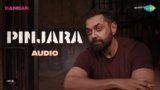 Pinajra Lyrics – Amit Trivedi | Bandar
