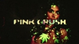 PINK KUSH Lyrics – Jass Goraya | The Takeover | Cheetah