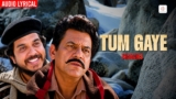Tum Gaye Lyrics – Lata Mangeshkar x Sanjeev Abhyankar